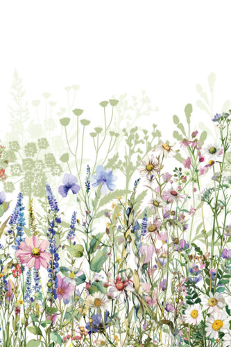 Fresh Garden Wildflowers removable wallpaper mural with a delicate watercolor meadow of tall stems and pastel blooms on a white backdrop.