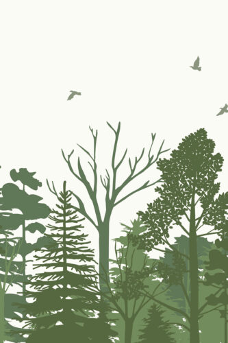 Sage Green Forest Scene custom removable wall mural with layered tree and shrub silhouettes along the bottom and birds in a pale sky.