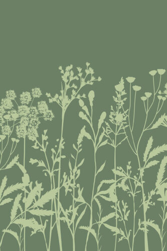 Green Meadow Wildflowers shows pale green wildflower silhouettes along the bottom on an olive green custom removable wall mural.