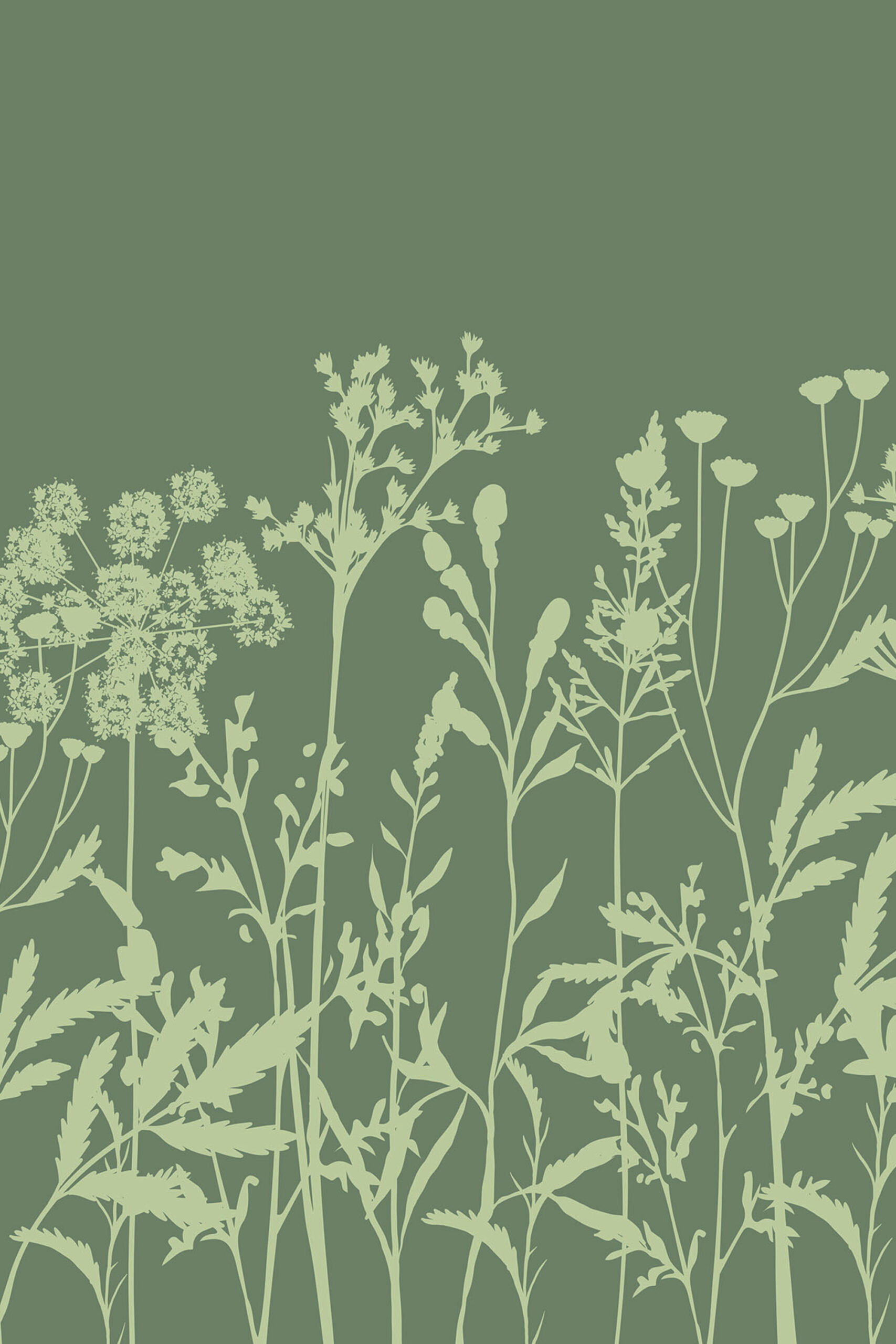 Green Meadow Wildflowers shows pale green wildflower silhouettes along the bottom on an olive green custom removable wall mural.