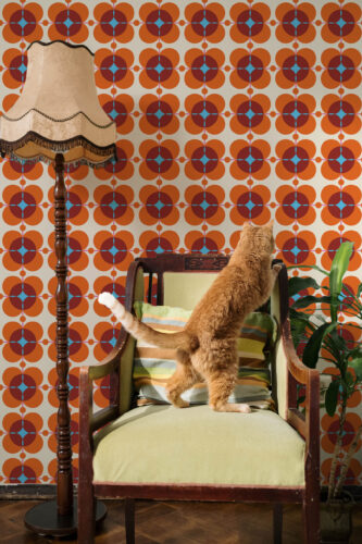 Orange Retro Floral peel and stick wallpaper with repeating orange and rust four-petal blooms and teal centers on a light ground.