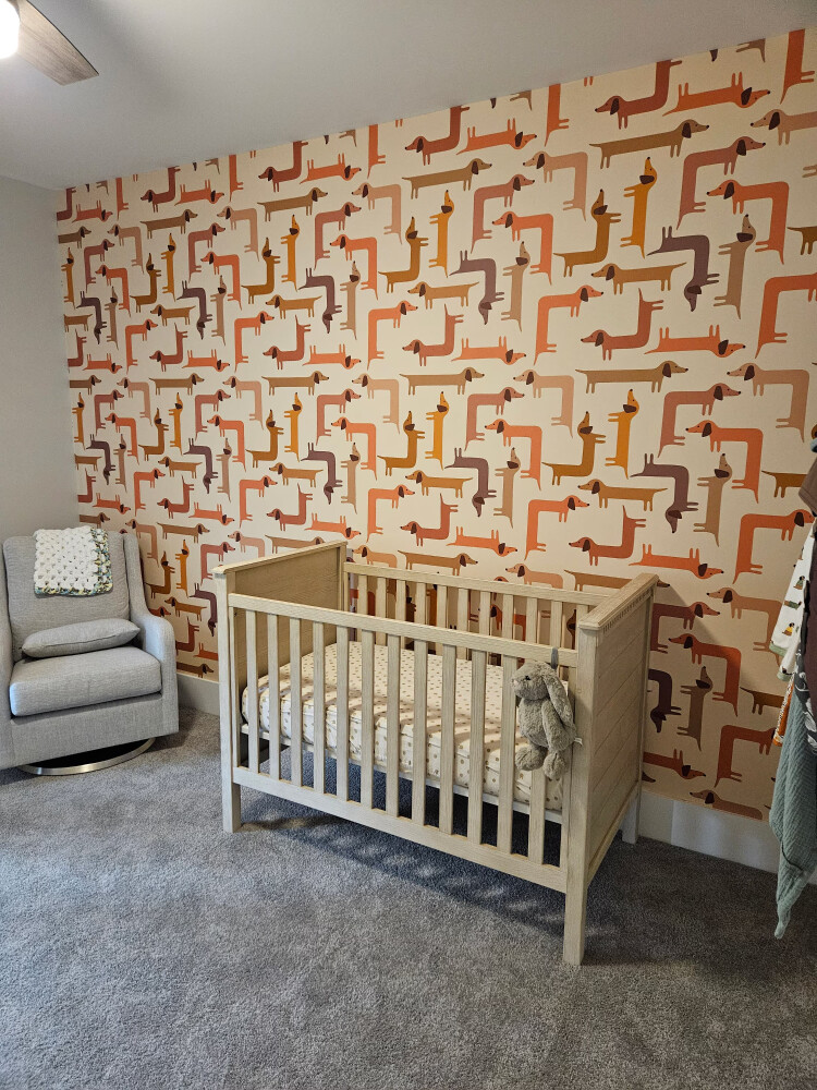 Beige Dachshund Print peel and stick wallpaper installed in nursery - review picture submitted by Jurgis