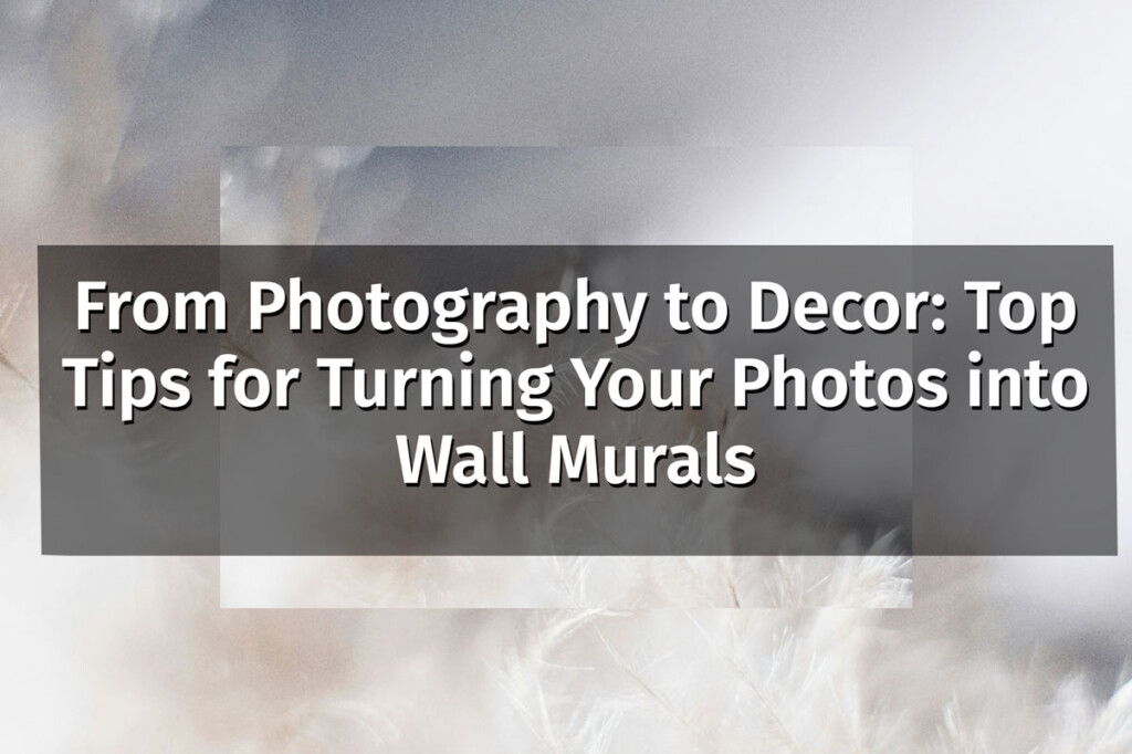 turning photography into peel and stick wall murals with fancywalls