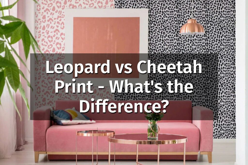 Leopard vs. Cheetah Print - What's the Difference? - Fancy Walls