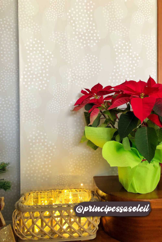 Subtle beige wallpaper with delicate white dotted patterns, creating a soft and calming backdrop for holiday decor featuring a vibrant poinsettia and glowing basket lights