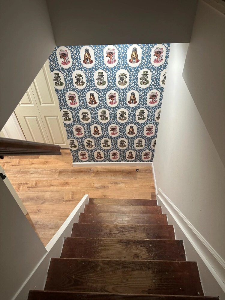 Vibrant Pup Portraits peel and stick wallpaper installed in basement - review picture submitted by Jurgis