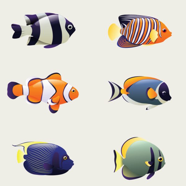 fish orange and blue traditional wallpaper
