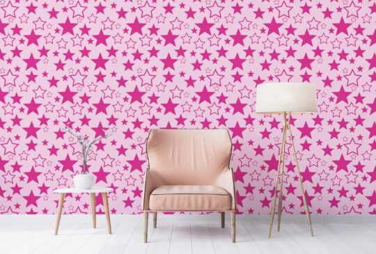 Barbie theme with unpasted wallpaper