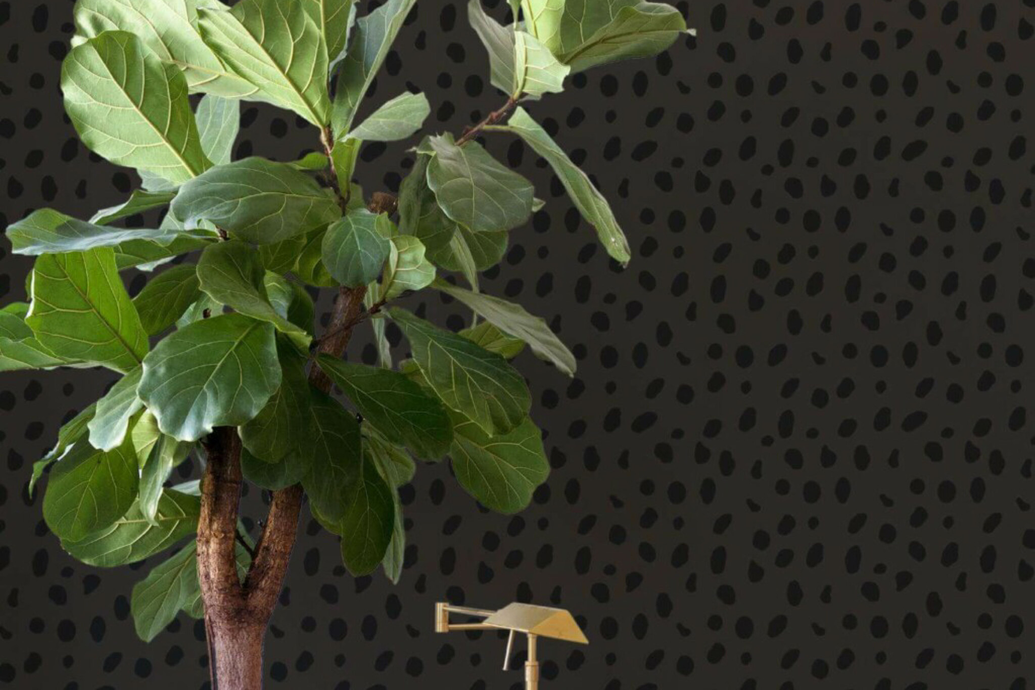 Leopard Vs Cheetah Print What s The Difference Fancy Walls Leopard vs cheetah print what s the difference fancy walls