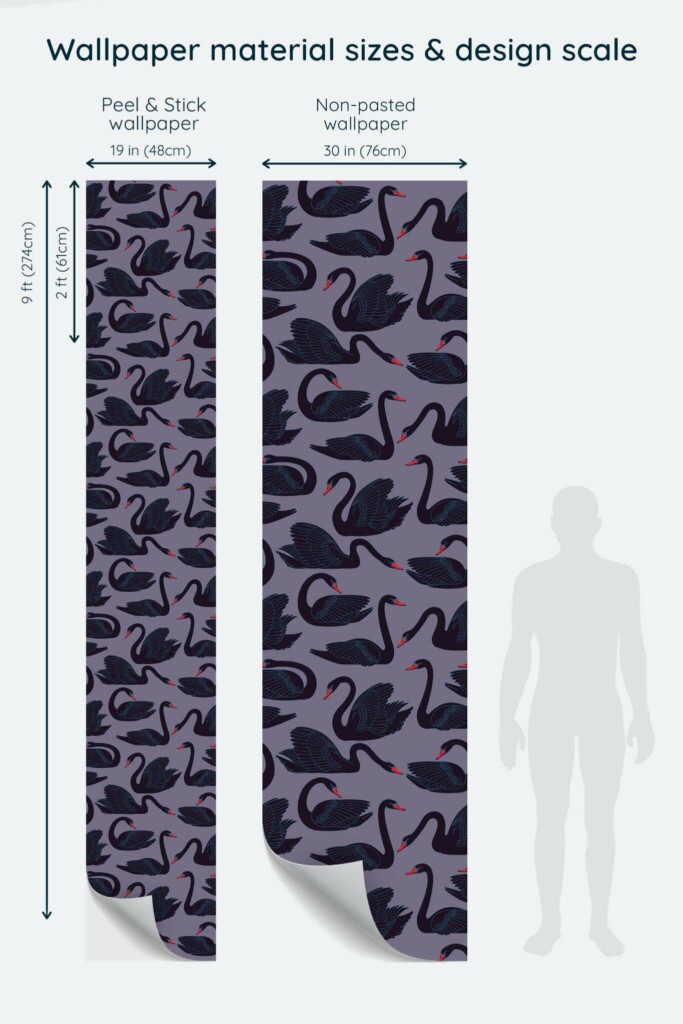 Size comparison of Black swan Peel & Stick and Non-pasted wallpapers with design scale relative to human figure