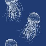 Jellyfish wallpaper - Peel and Stick or Non-Pasted