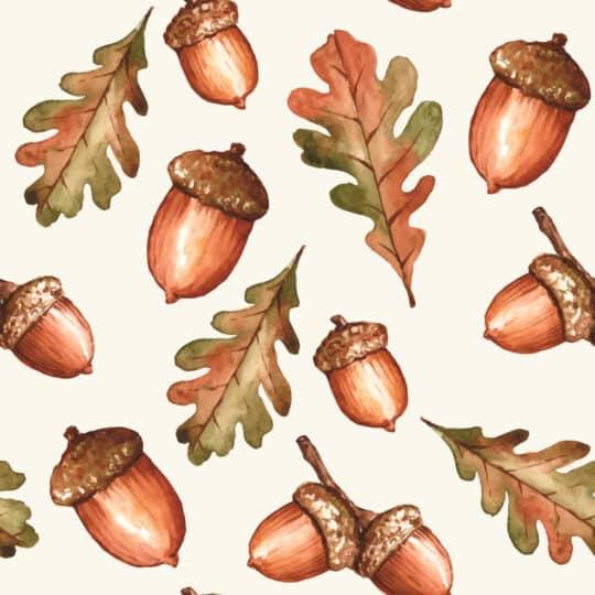 acorn peel and stick wallpaper