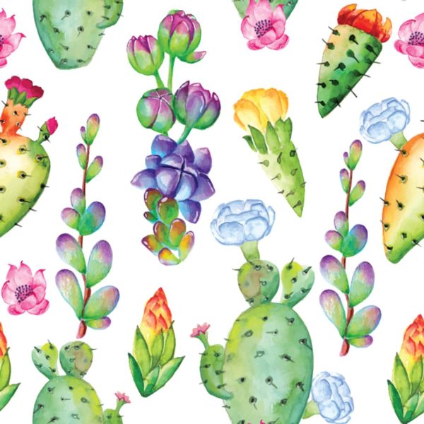 Watercolor cactus removable wallpaper