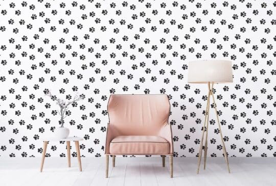 cat removable wallpaper