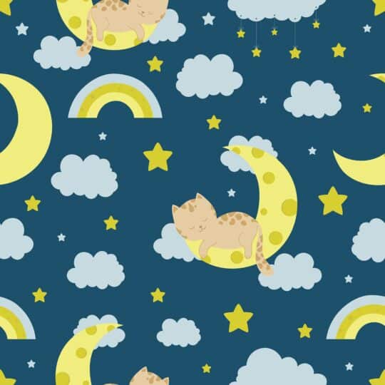 celestial cat non-pasted wallpaper