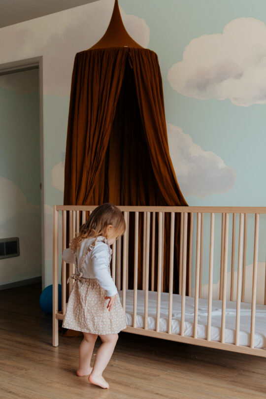 Azure Daydream Wall Mural, murals for walls by Fancy Walls