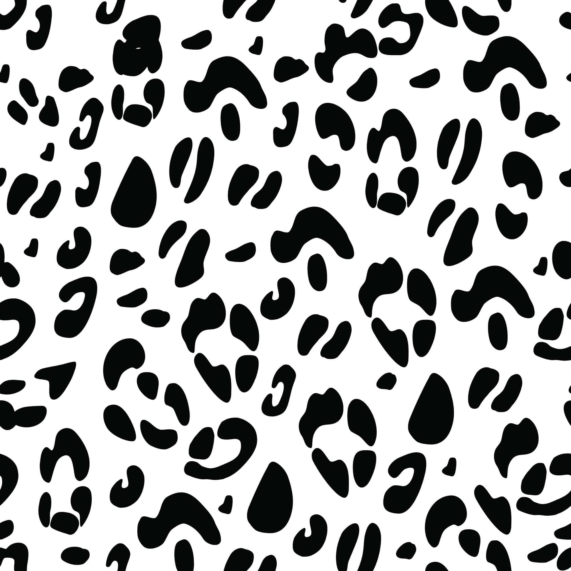 Black and white leopard print wallpaper - Peel and Stick or Non-Pasted