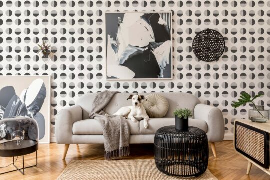 Modern geometric circles stick on wallpaper