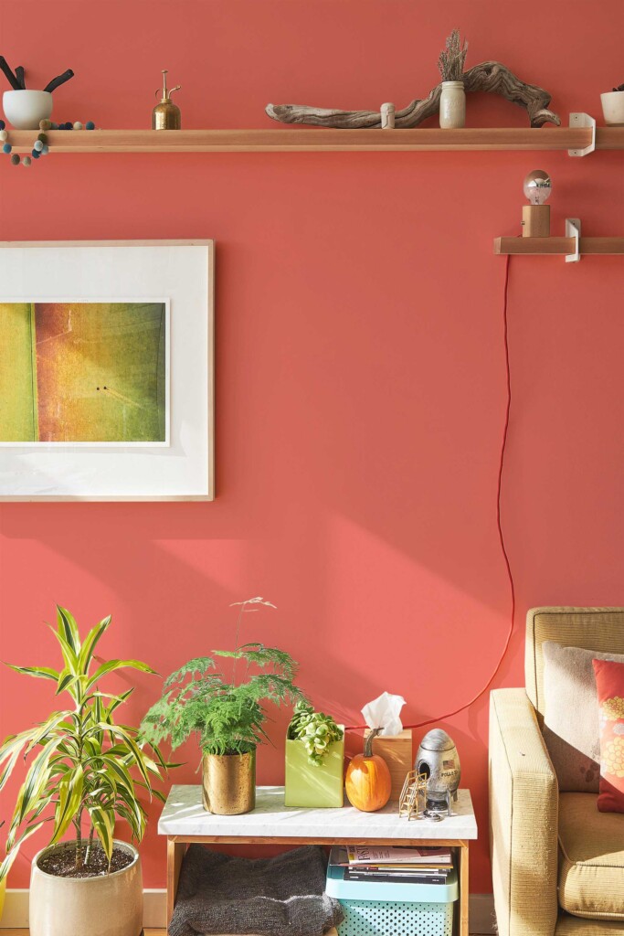 Fancy Walls self-adhesive wallpaper in coral solid tone with timeless charm