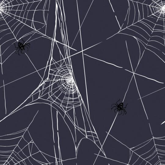 spiderweb peel and stick wallpaper