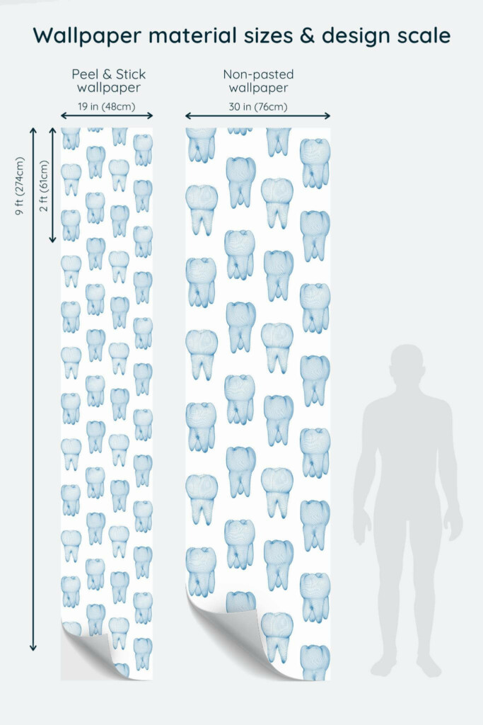 Size comparison of Dental Bliss Peel & Stick and Non-pasted wallpapers with design scale relative to human figure