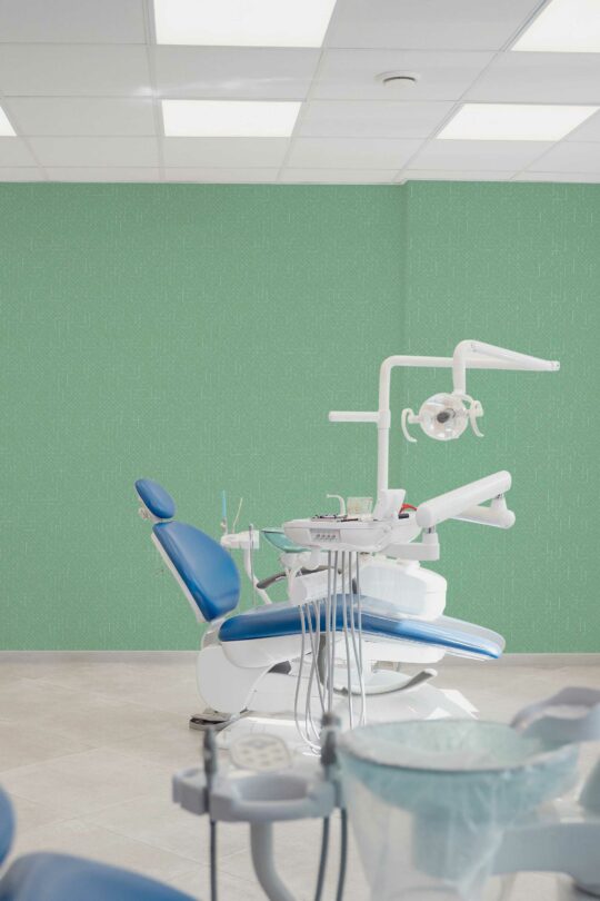Refreshing Dental Motif removable wallpaper from Fancy Walls