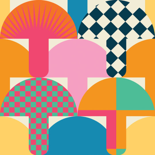 Colorful Groovy Mushrooms, non-pasted wallpaper from Fancy Walls