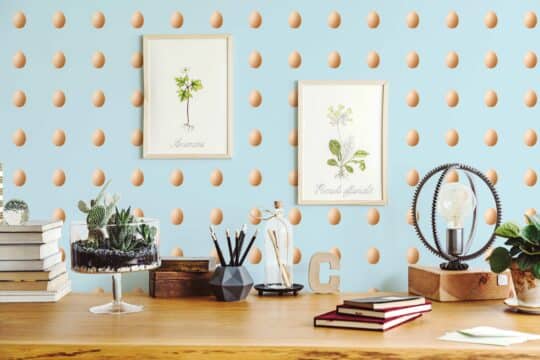 fresh eggs non-pasted wallpaper