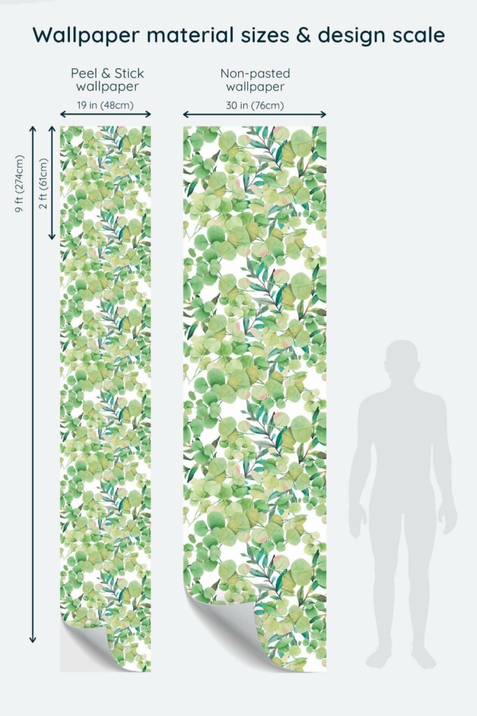 Size comparison of Eucalyptus leaves Peel & Stick and Non-pasted wallpapers with design scale relative to human figure