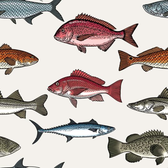fish multicolor traditional wallpaper