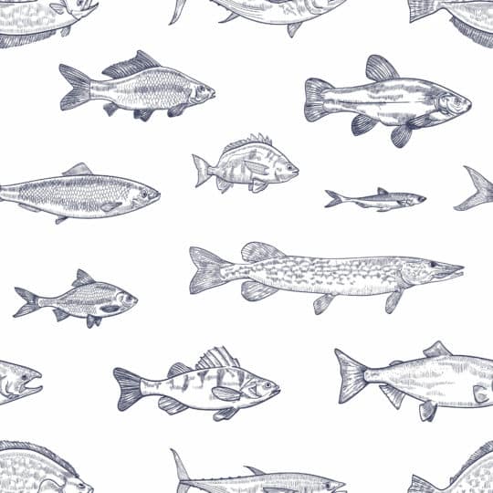 Navy blue fish peel and stick wallpaper