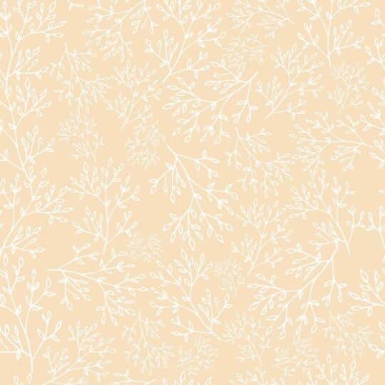 1000 Peach Colour Pictures Download Free Images on Unsplash