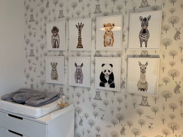 Gray forest animal wallpaper for walls