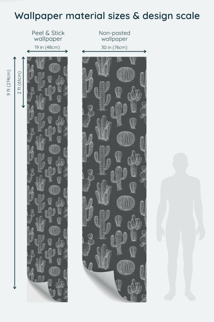 Size comparison of Gray and white cactus Peel & Stick and Non-pasted wallpapers with design scale relative to human figure