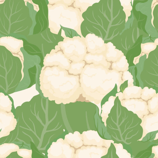 Green Cauliflower, self-adhesive wallpaper from Fancy Walls