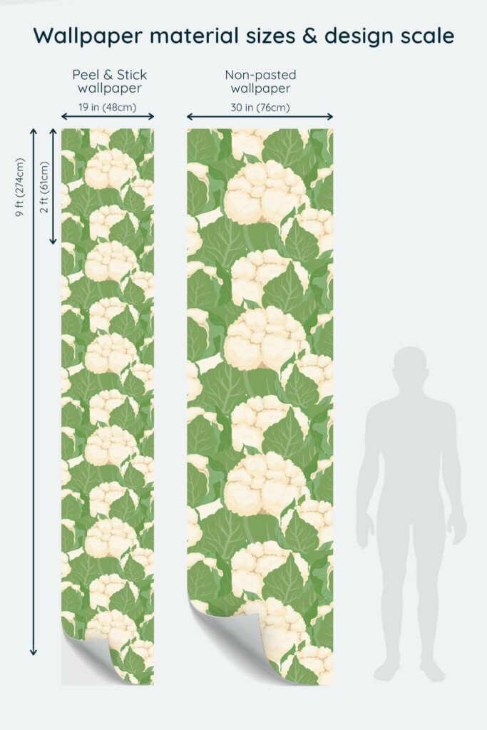 Size comparison of Green Cauliflower Peel & Stick and Non-pasted wallpapers with design scale relative to human figure