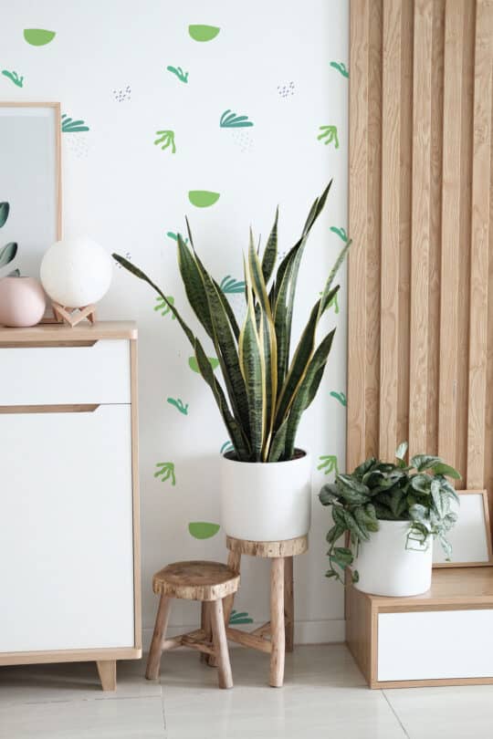 green minimalist unpasted wallpaper