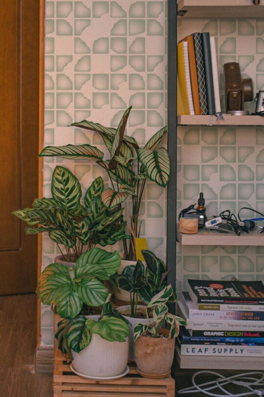 Southwestern style living room decorated with Green modern abstract peel and stick wallpaper