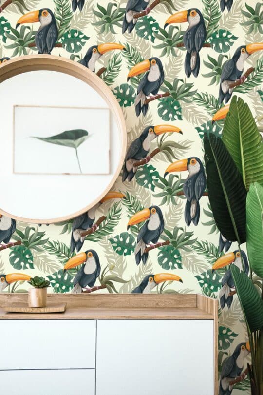 toucan bird non-pasted wallpaper
