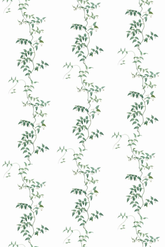Pattern repeat of Green vine leaf removable wallpaper design