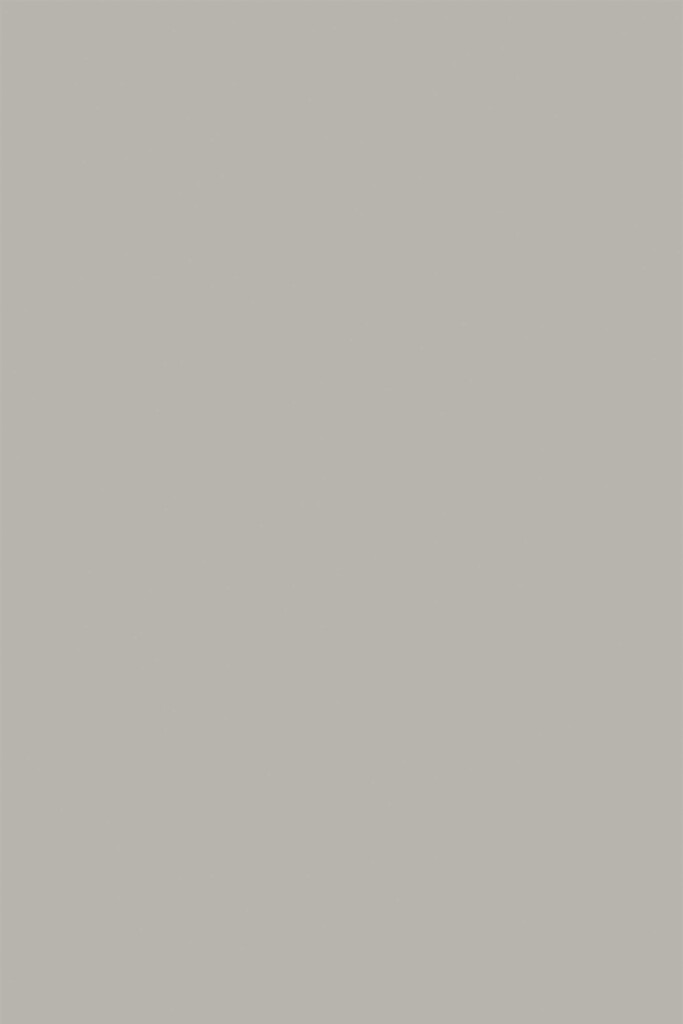 Fancy Walls self-adhesive wallpaper in greige solid color with matte texture