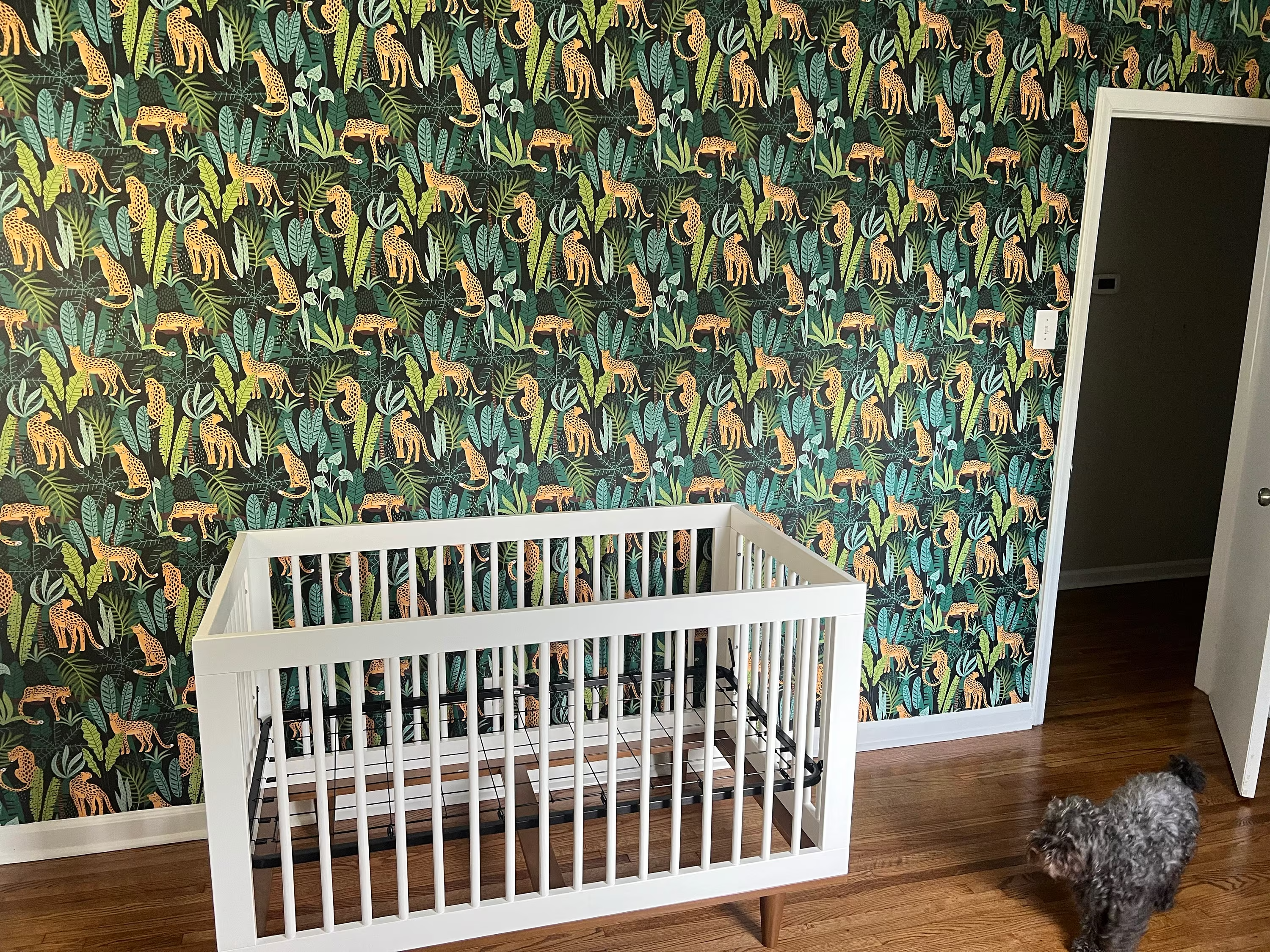 Dark Jungle Peel & Stick Wallpaper for Nursery - Review by Laura