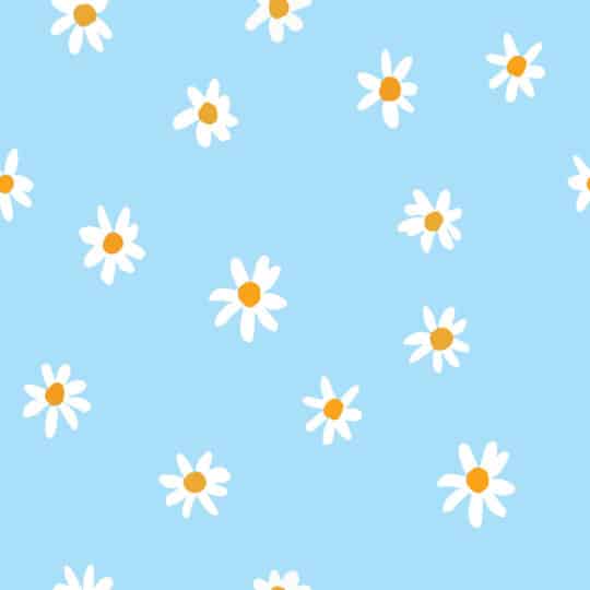 daisies light blue traditional wallpaper
