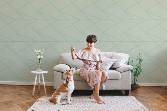 sage removable wallpaper