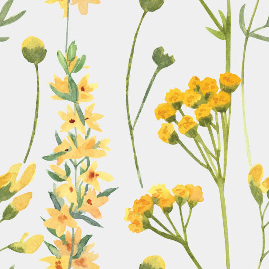Beige Bloom Bliss traditional wallpaper by Fancy Walls