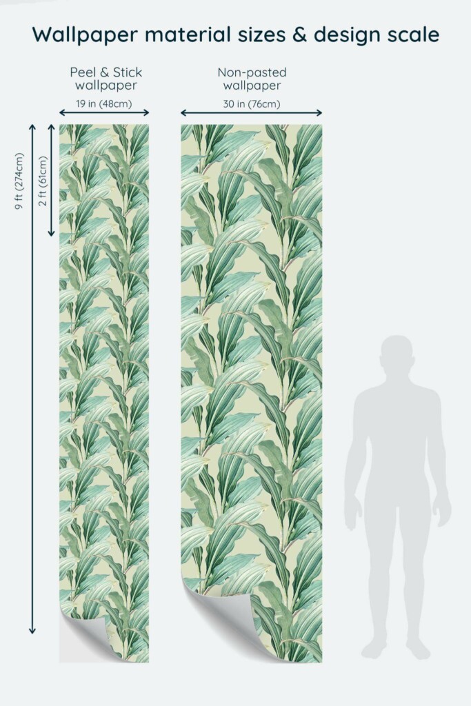 Size comparison of Modern tropical leaf Peel & Stick and Non-pasted wallpapers with design scale relative to human figure