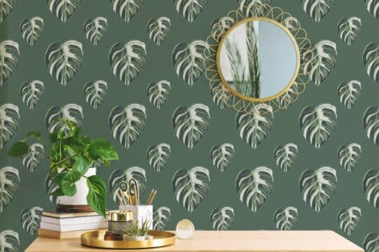 Monstera leaf temporary wallpaper