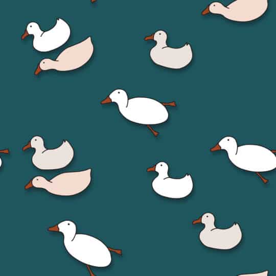 Duck wallpaper