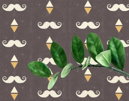mustache peel and stick wallpaper