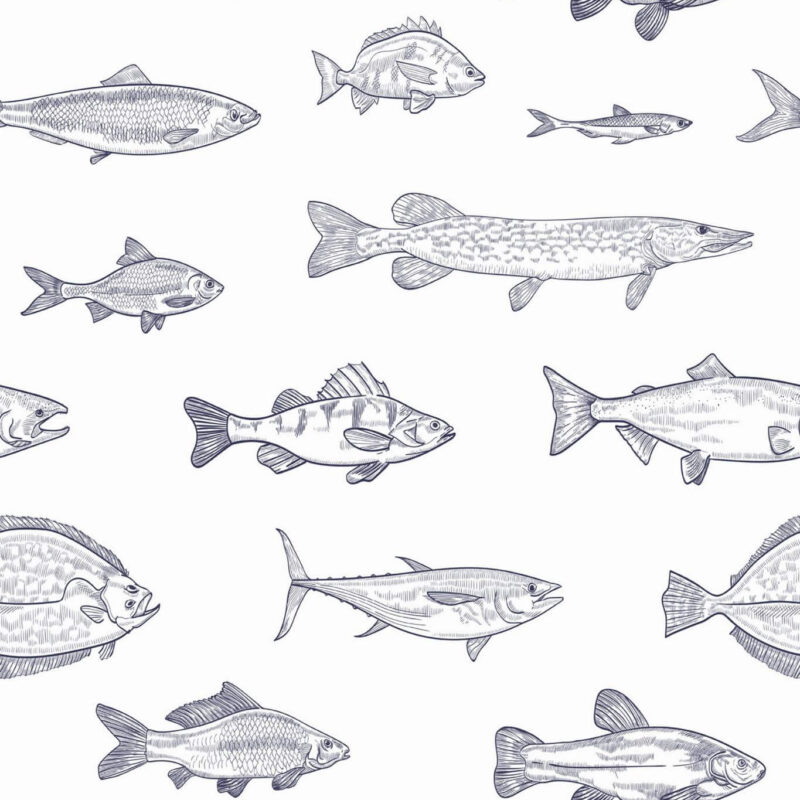 Fish Wallpaper Peel and Stick or NonPasted